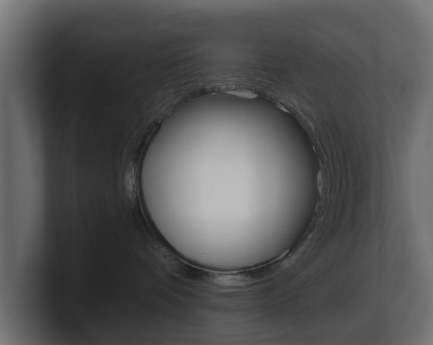 X0000101950336200807180708