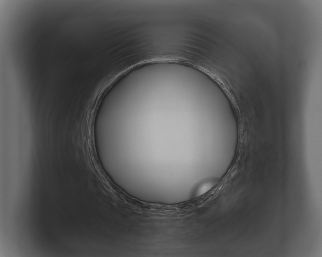 X0000101950337200807180707