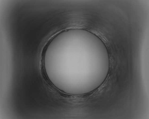 X0000101950338200807180707