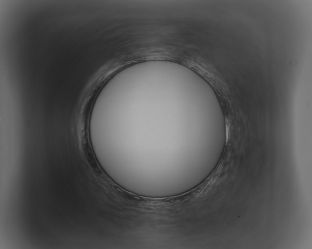 X0000101950339200807180707