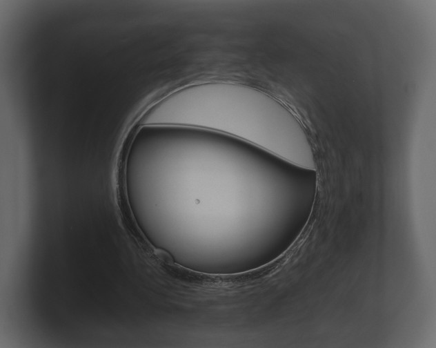 X0000101950340200807180707