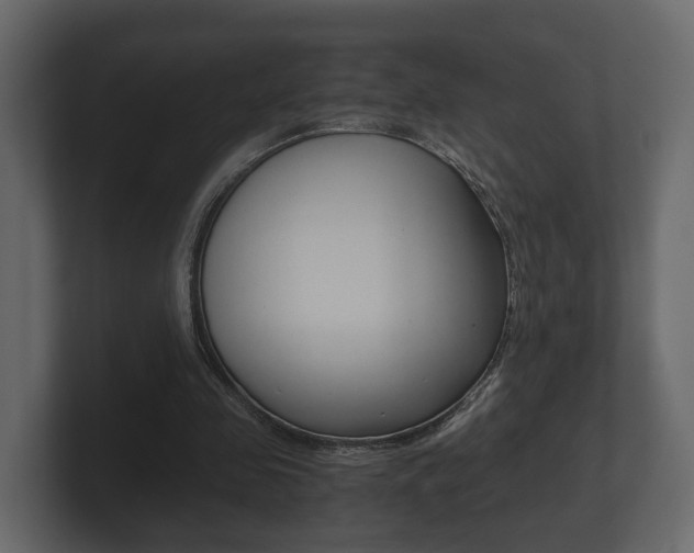 X0000101950341200807180707