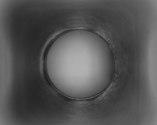 X0000101950342200807180707