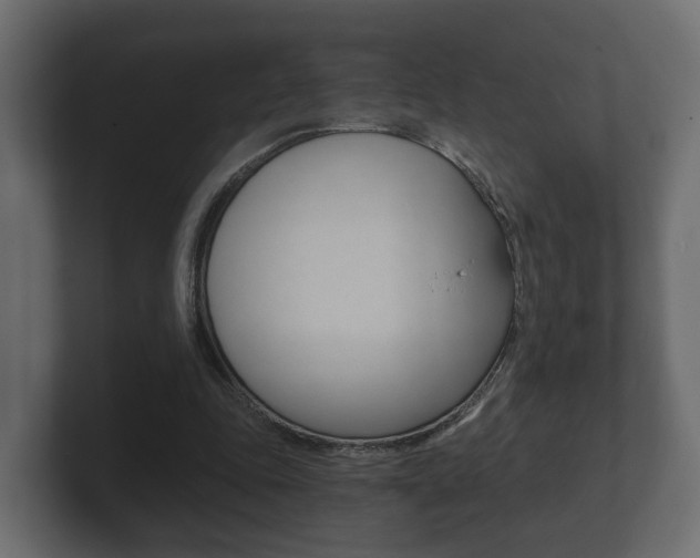 X0000101950343200807180707