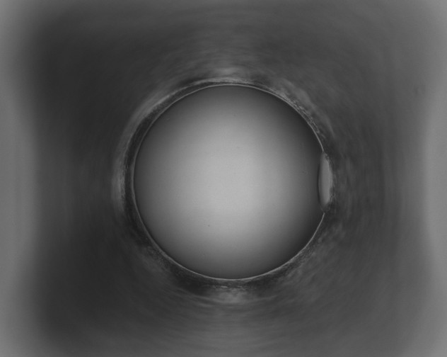 X0000101950344200807180707