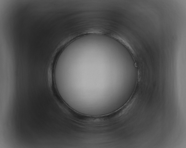 X0000101950349200807180707