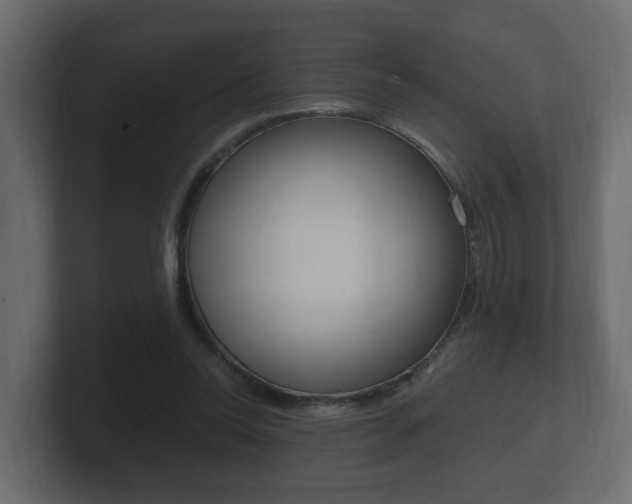 X0000101950350200807180707