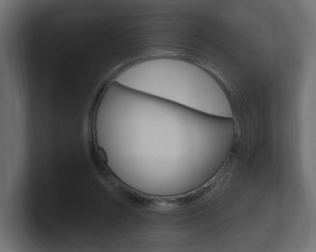 X0000101950352200807180707