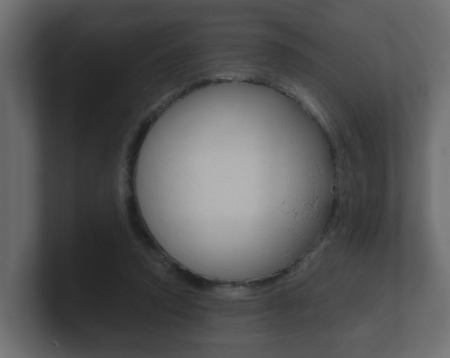 X0000101950354200807180707