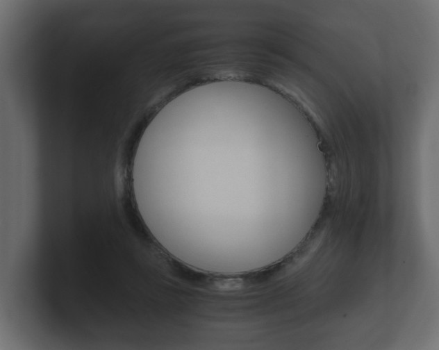 X0000101950355200807180707