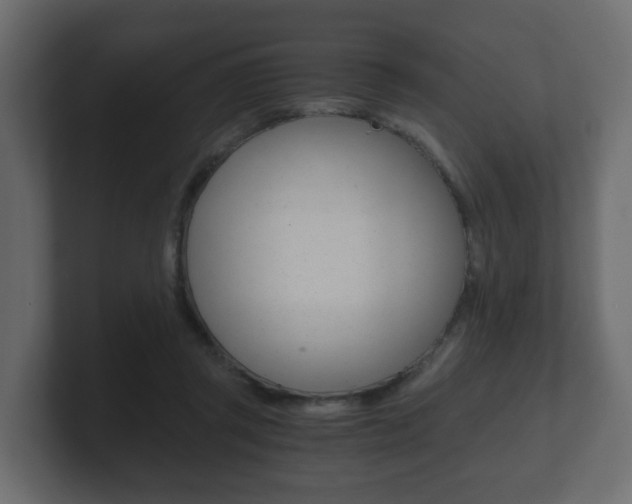 X0000101950357200807180707