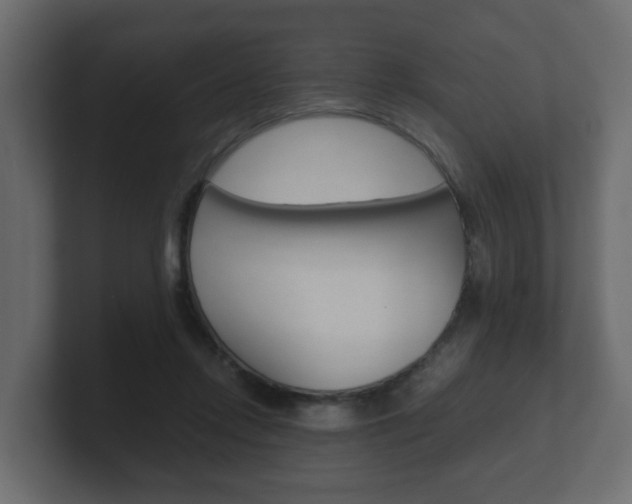 X0000101950358200807180707