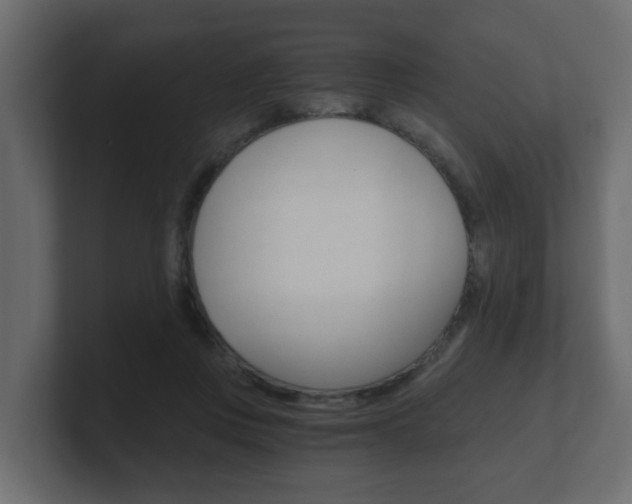 X0000101950359200807180707