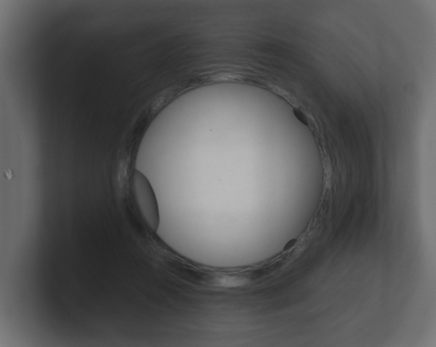 X0000101950360200807180707