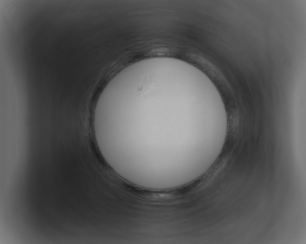 X0000101950361200807180707