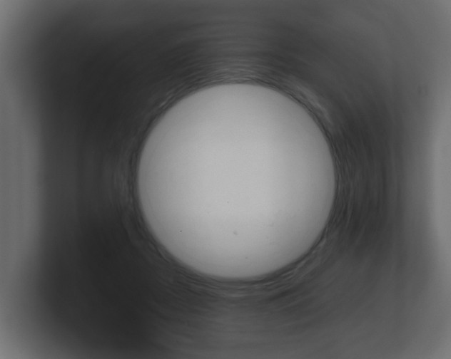 X0000101950362200807180707