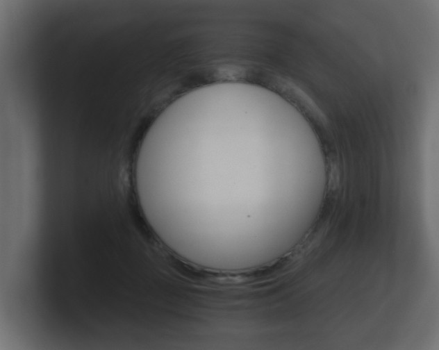 X0000101950363200807180707