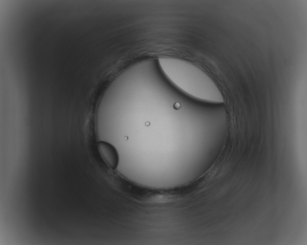 X0000101950364200807180707