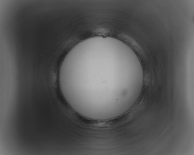 X0000101950365200807180707