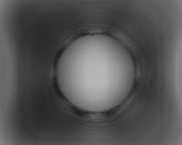 X0000101950367200807180707