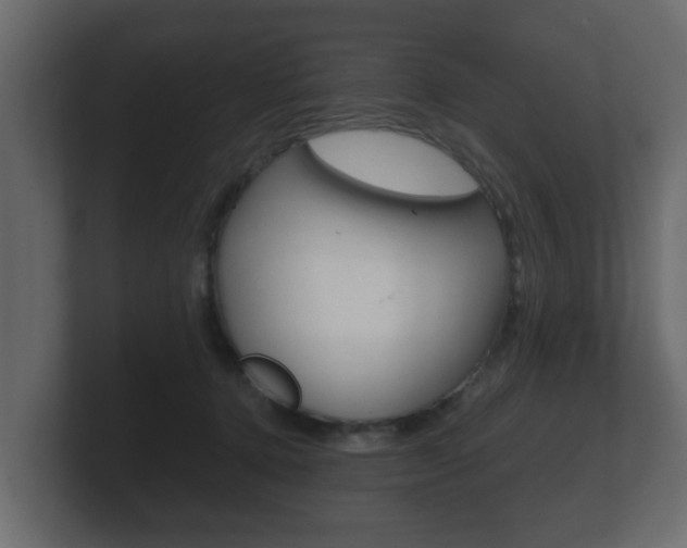 X0000101950368200807180707