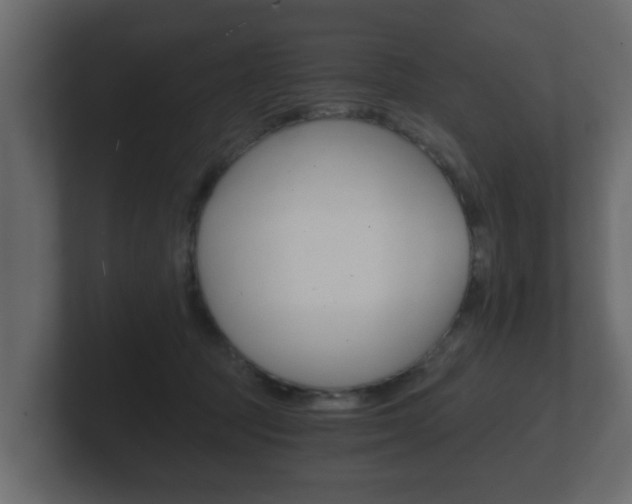 X0000101950369200807180707