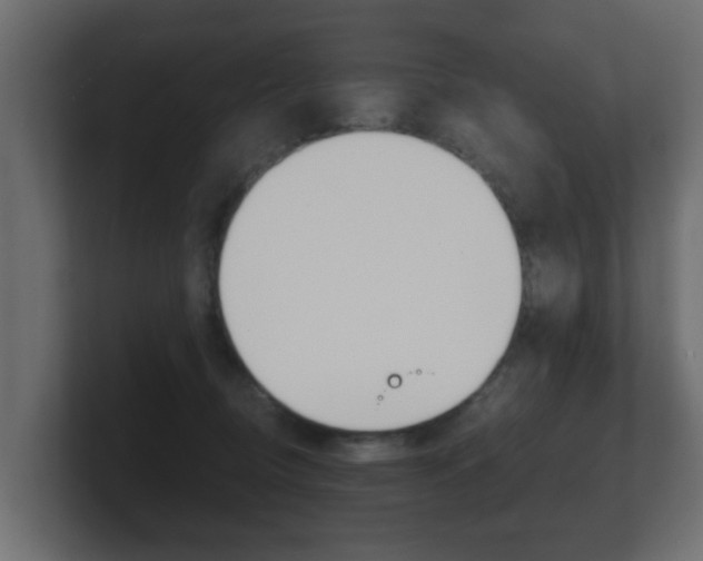 X0000101950370200807180707