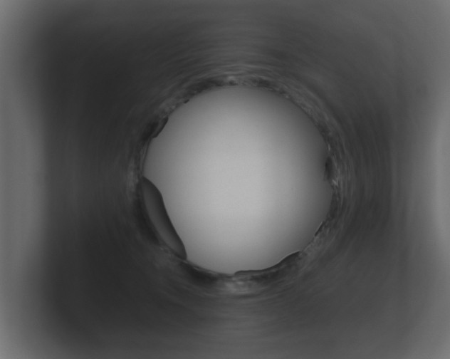 X0000101950372200807180707