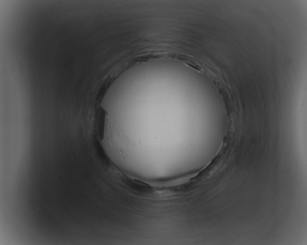 X0000101950376200807180707