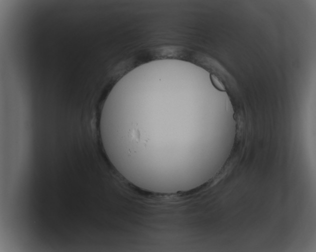 X0000101950377200807180707