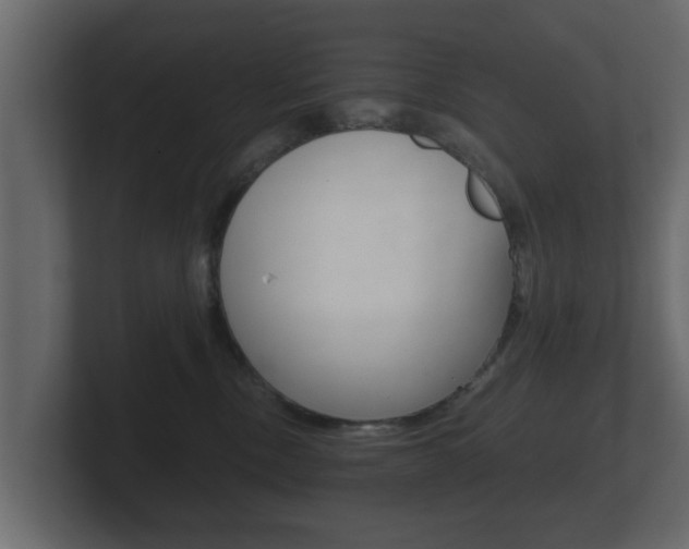 X0000101950378200807180707