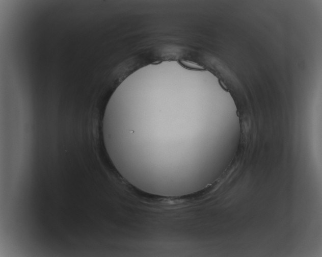 X0000101950379200807180707