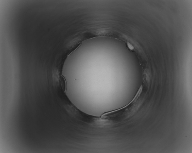 X0000101950380200807180707