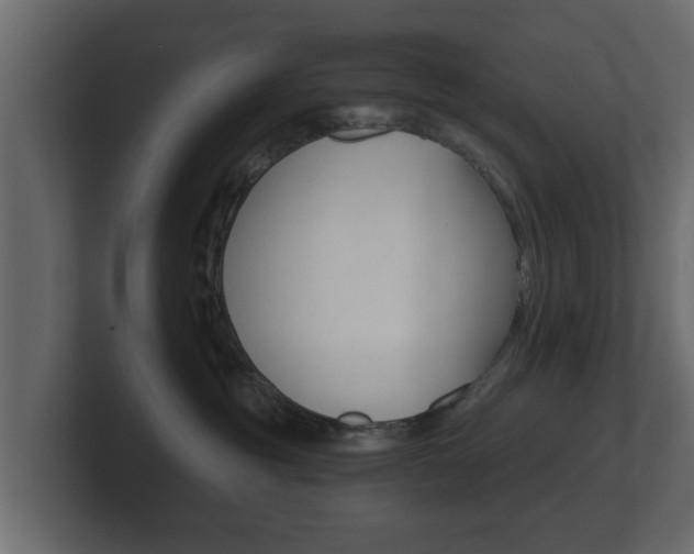 X0000101950381200807180707