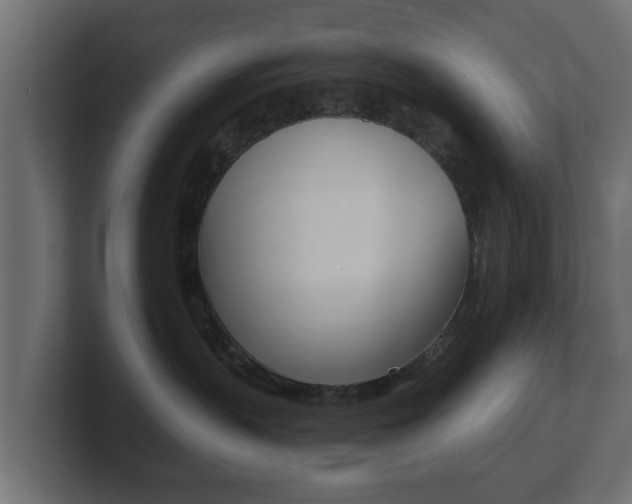 X0000101950383200807180708