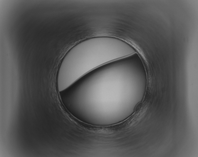 X0000101950385200807180707