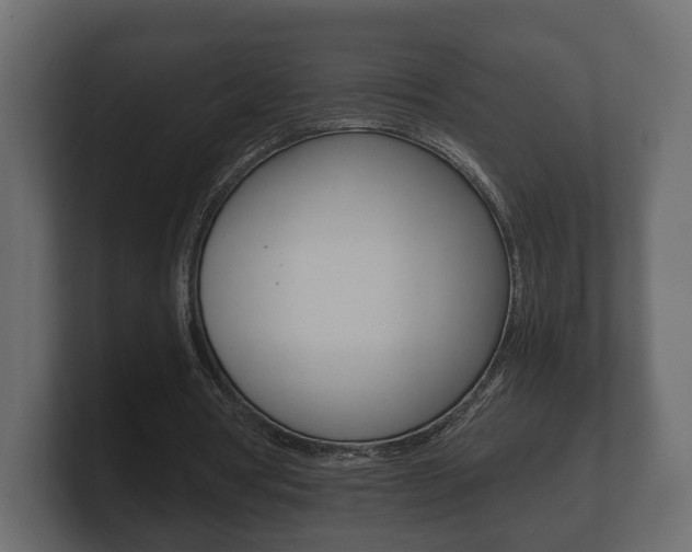 X0000101950386200807180707