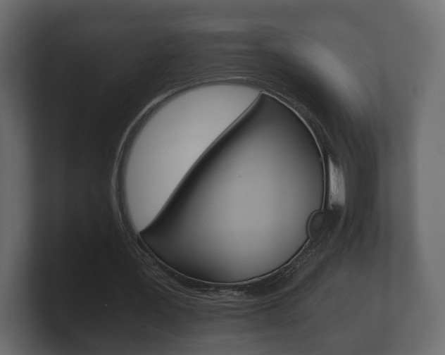 X0000101950387200807180707