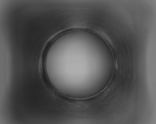 X0000101950388200807180707