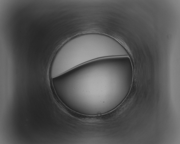 X0000101950389200807180707