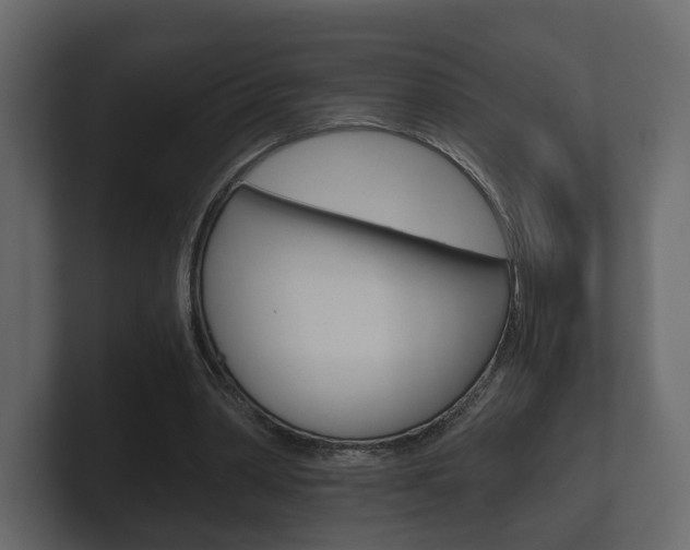 X0000101950390200807180707