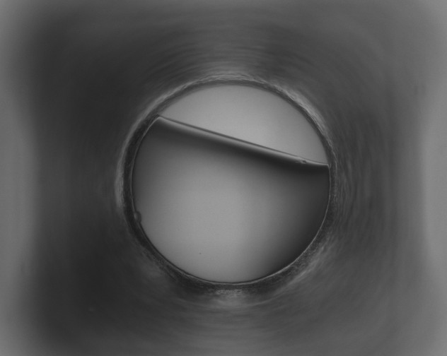 X0000101950391200807180707