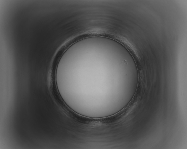 X0000101950392200807180707