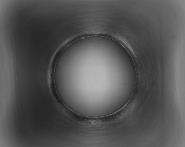 X0000101950395200807180707