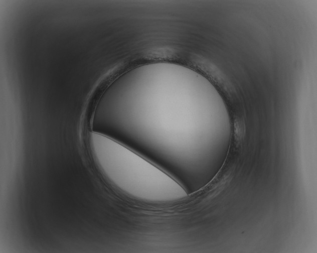 X0000101950396200807180707