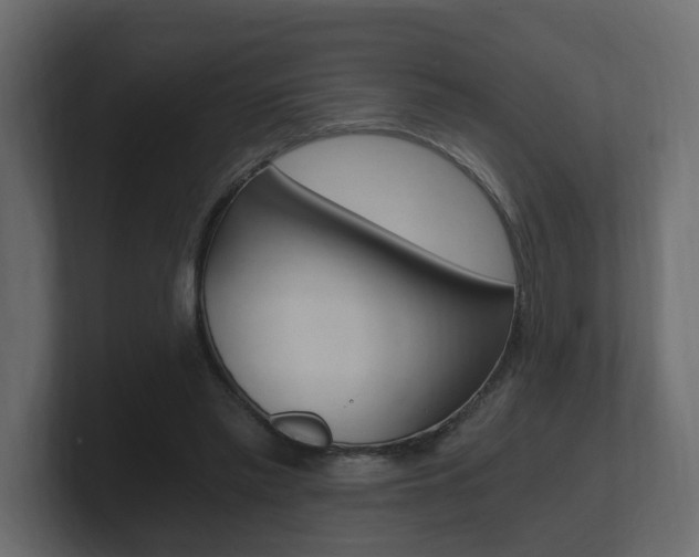 X0000101950397200807180707