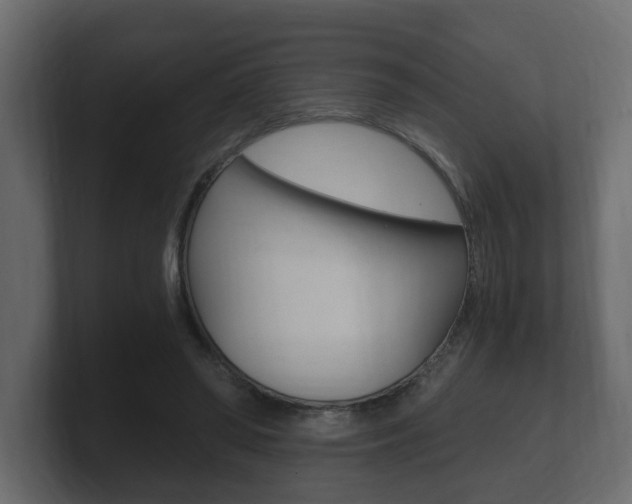 X0000101950398200807180707