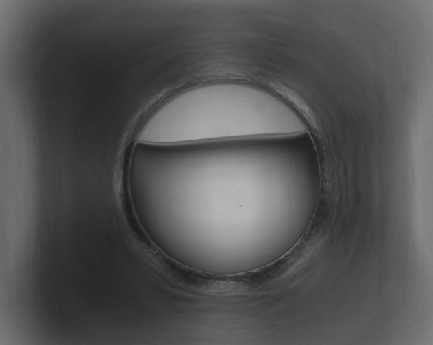 X0000101950399200807180707