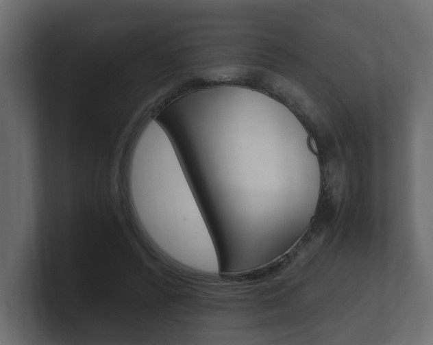 X0000101950400200807180707