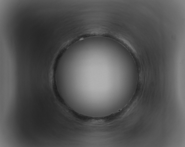 X0000101950403200807180707